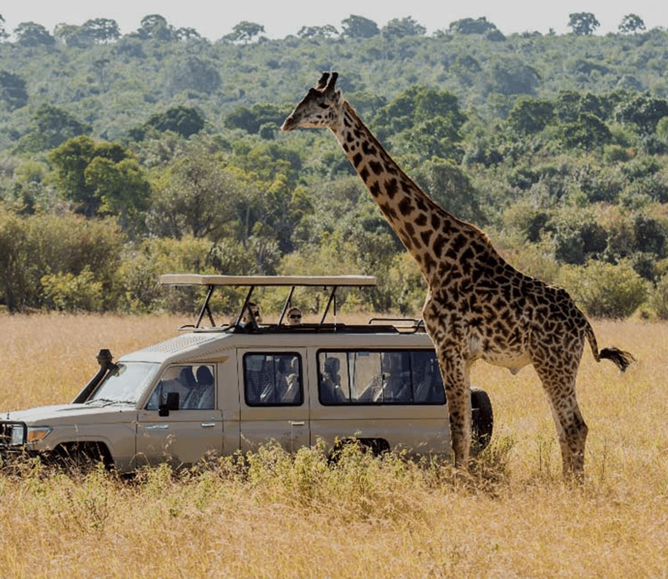 game drive lake manyara min