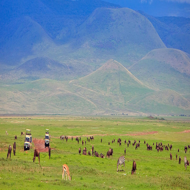 ngorongoro crater game viewing