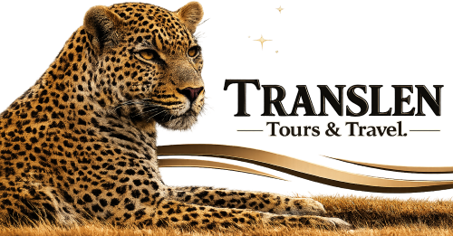 Translen Tours Travel logo